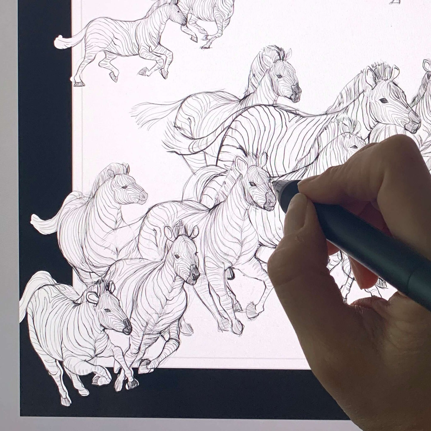 Illustration of a herd of zebras being drawn on a digital tablet by an artist's hand.