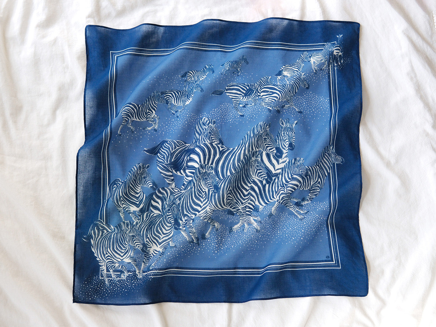 Zebra, "New Beginning" Bandana Scarf (Blue)