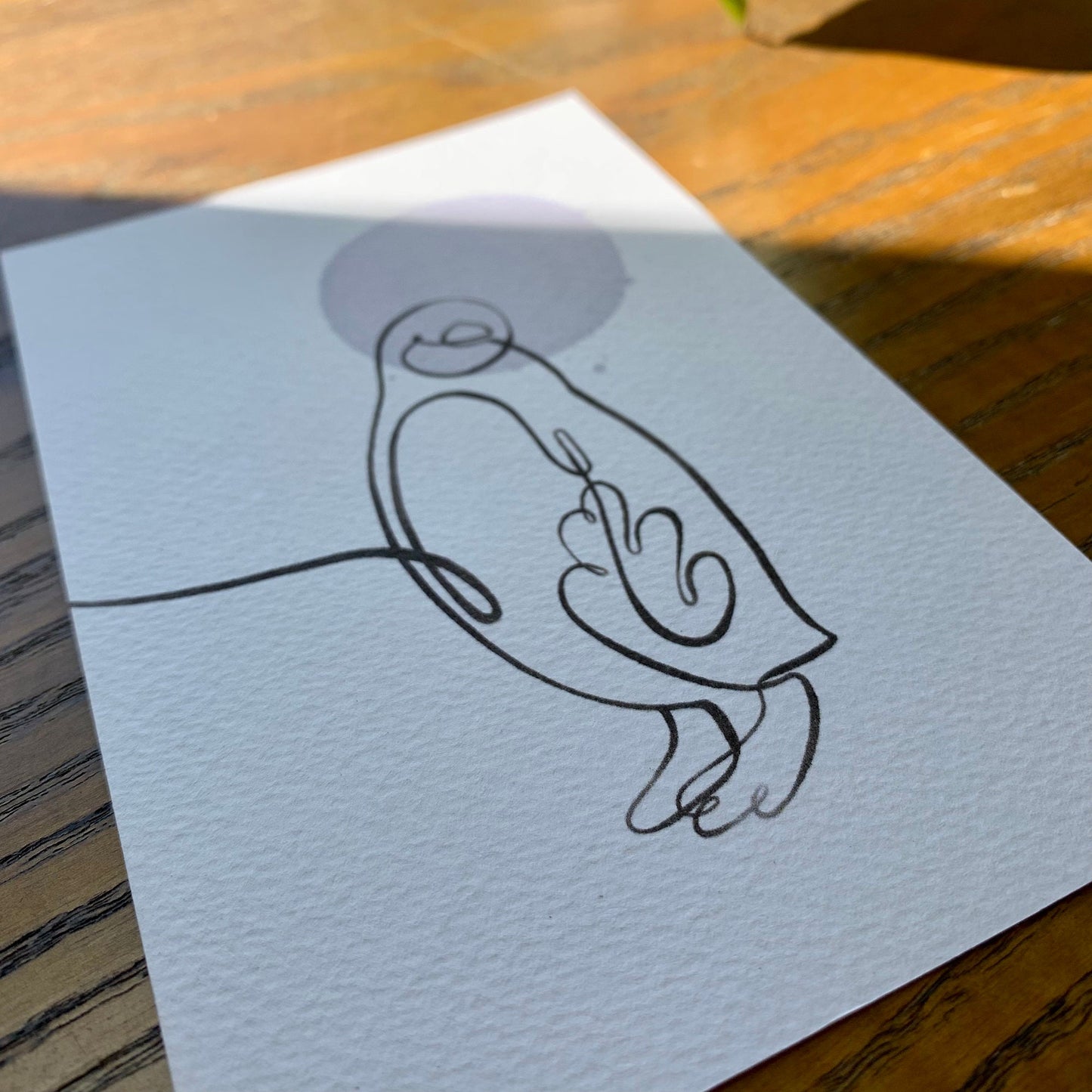 Penguin line drawing Postcard
